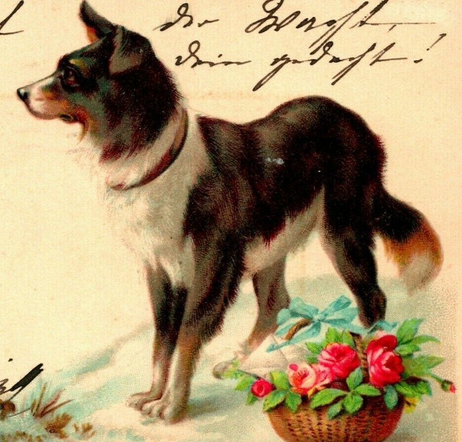 Vtg Postcard 1903 PMC - Dog With Basket - Wishing You a Happy Christmas