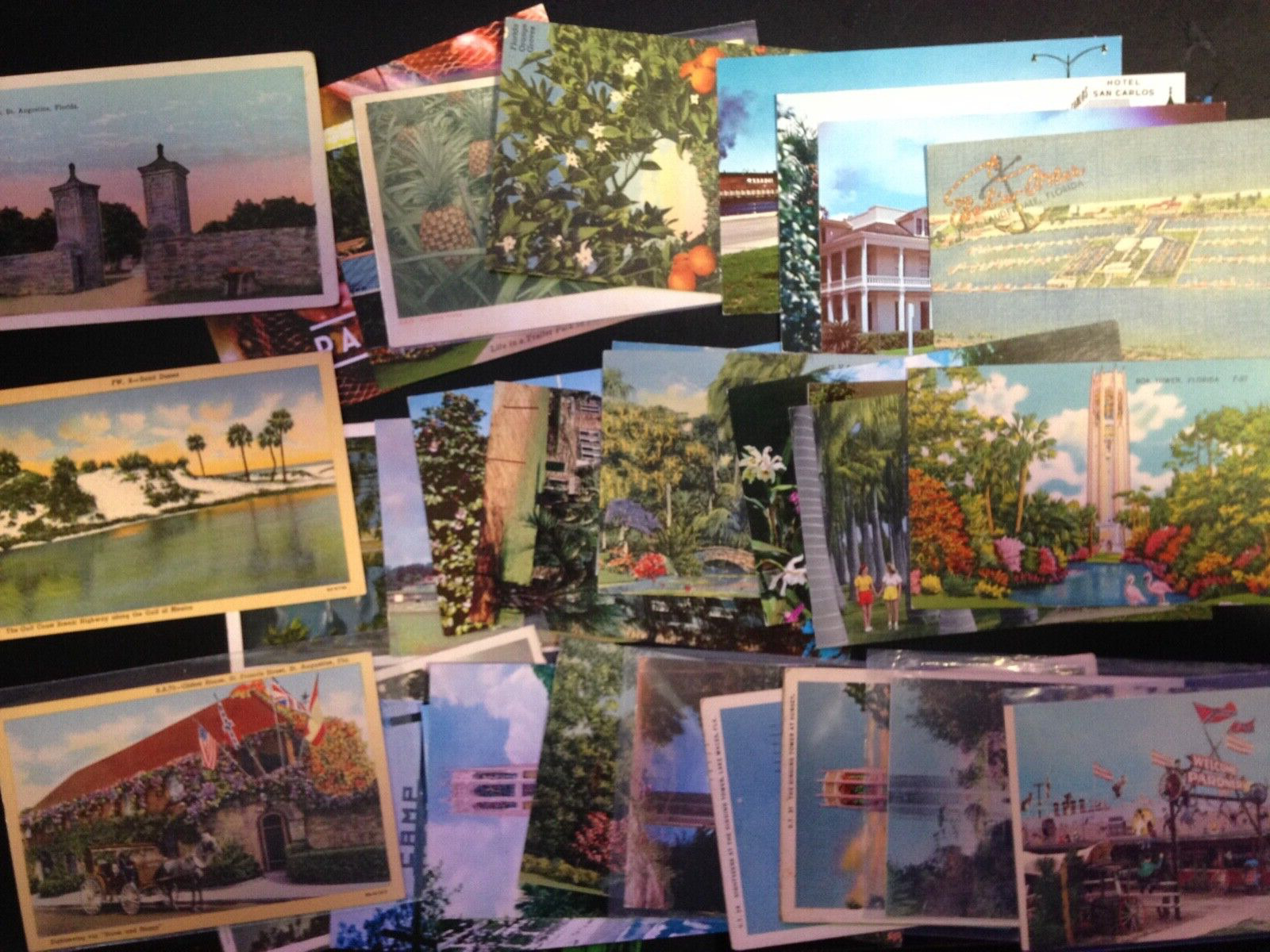 30+ Postcard lot, Florida. Set 5. Nice