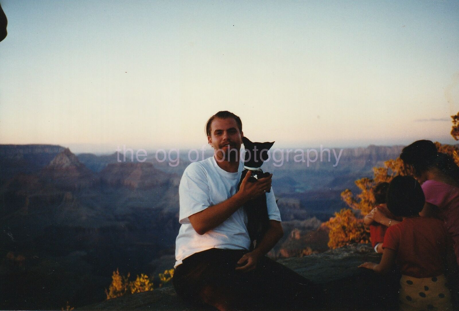 A Man And His Dog At The Grand Canyon ORIGINAL FOUND PHOTOGRAPH Color 96 8 H