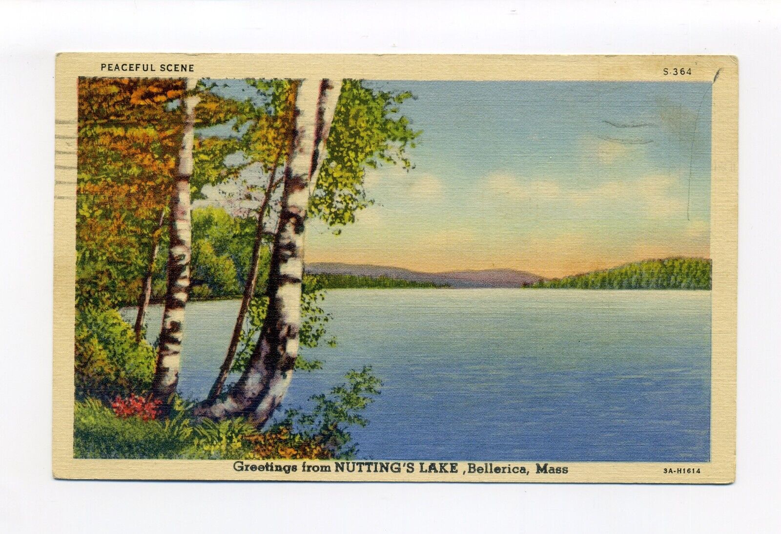 Billerica MA 1943 postcard, Nutting Lake, peaceful scene, birches on water