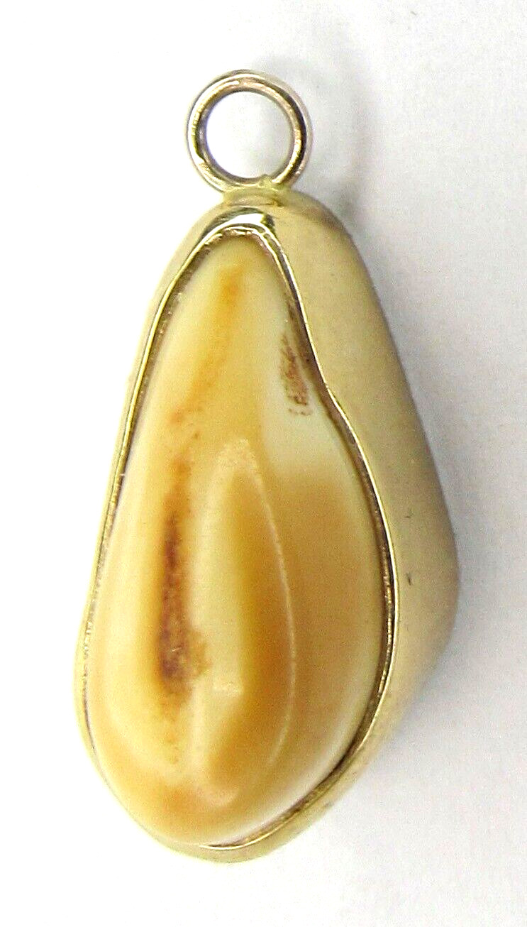 Antique 10k Yellow Gold, White Gold Back Elks Tooth Fob / Pendant - 3.5 Grams