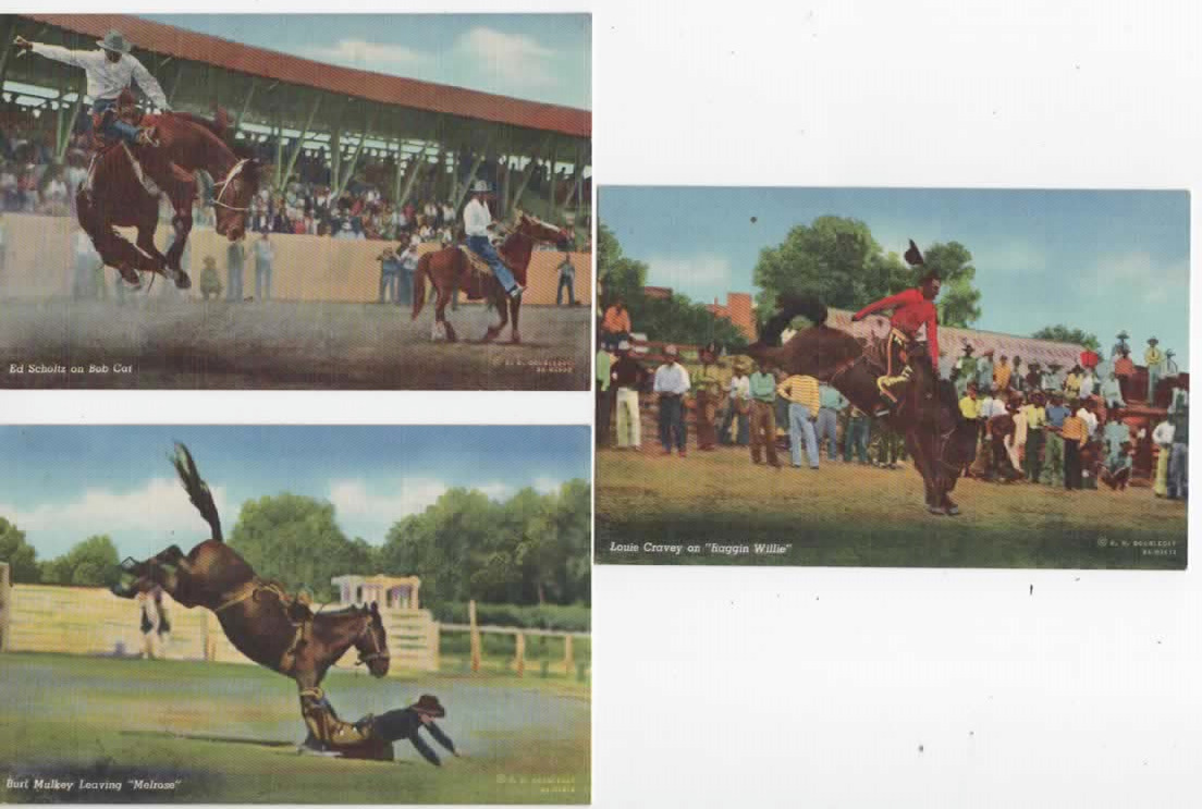 Rodeo  postcards x 3 1935  3 famous cowboys on bucking broncos