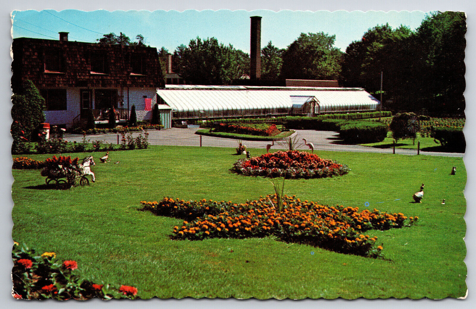 Vintage Canada Postcard Sherbrooke Municipal Greenhouses