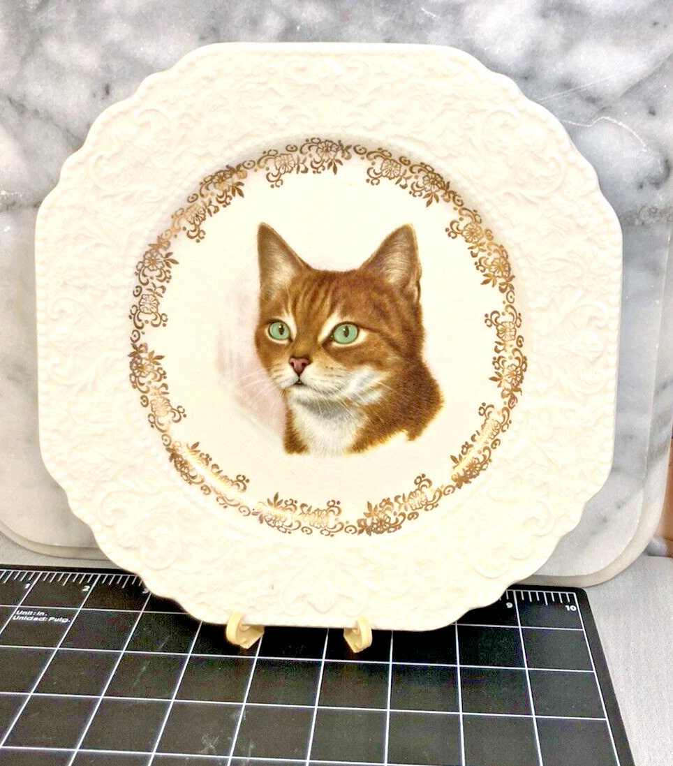 Vintage Tabby w green eyes Cat Plate w/ Gold Trim; Lord Nelson Pottery England