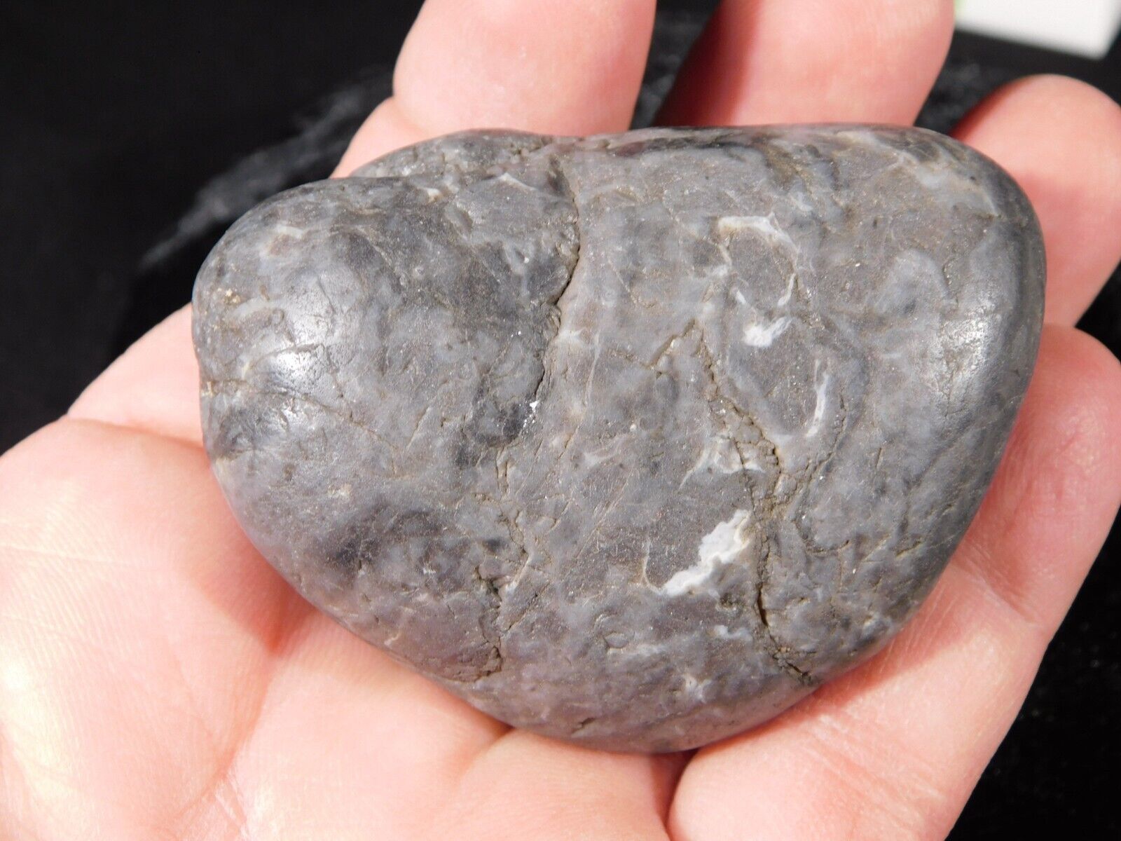Big 100% Natural Dinosaur Gastrolith or Stomach Stone From Jurassic Utah 139gr