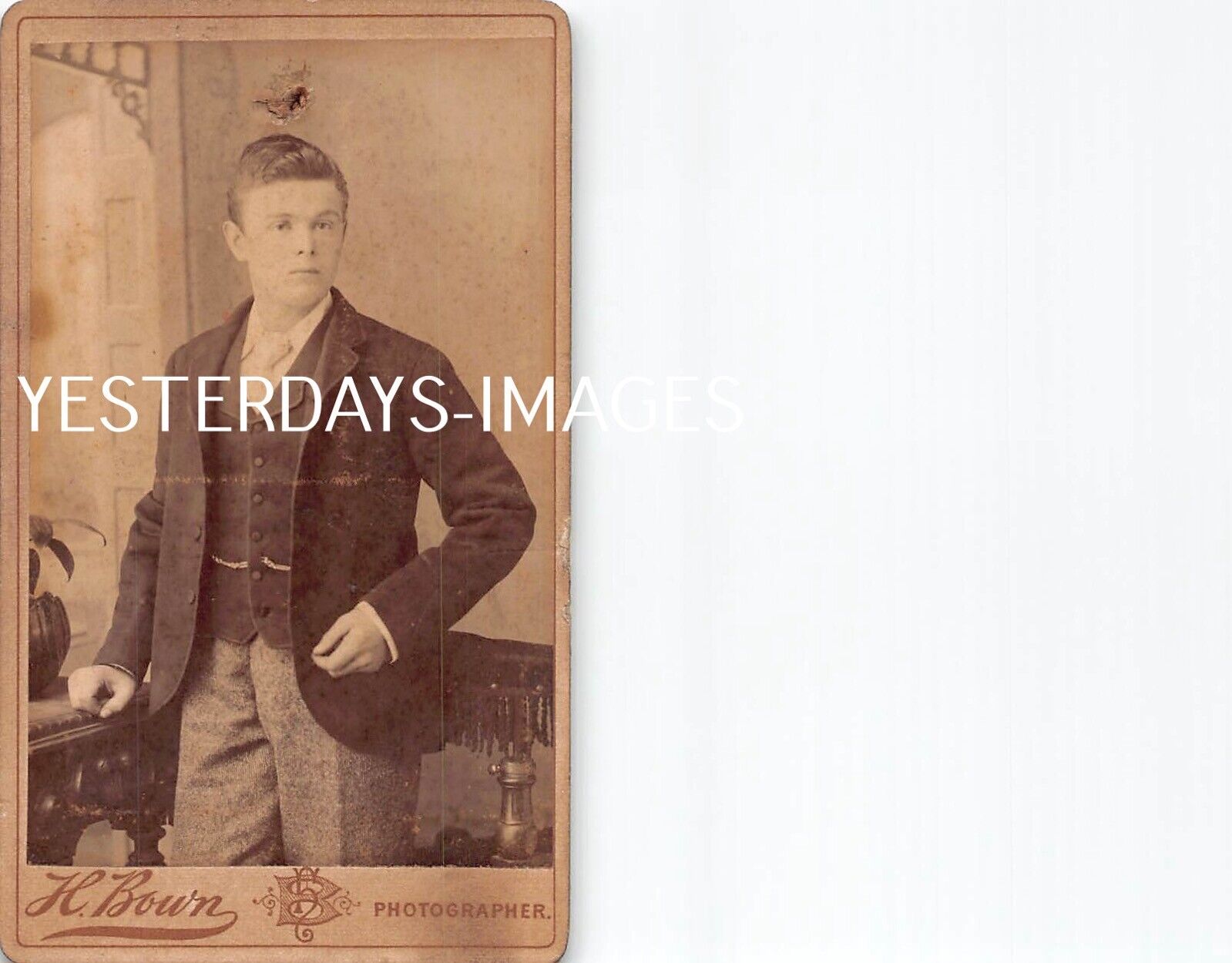 Cdv Card Young Man Boy H.Bown London Studio Photograph (180) pin hole
