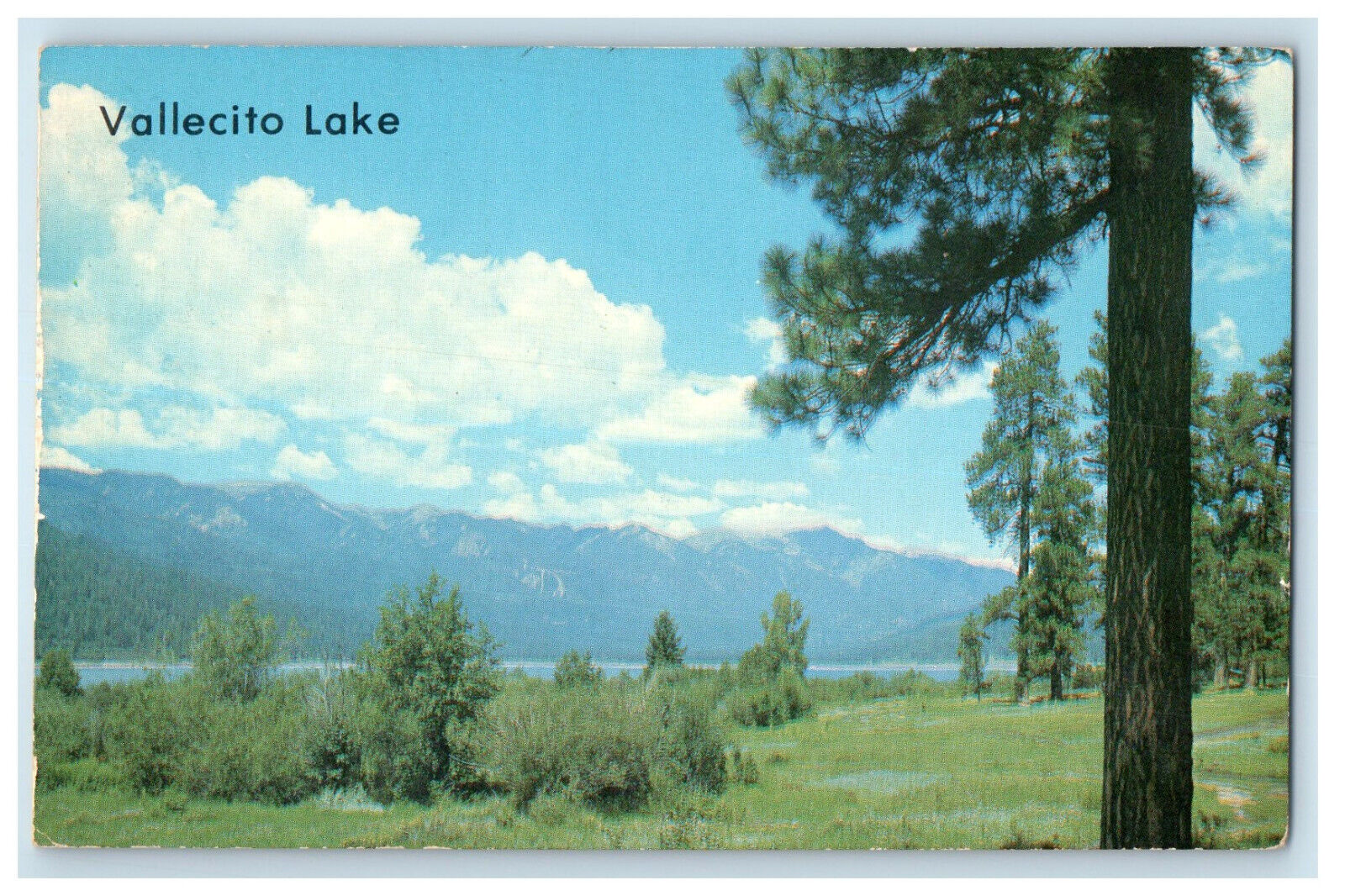 c1950s Vallecito Lake, Water-Skiers and Boatmen Pine River Valley CO Postcard