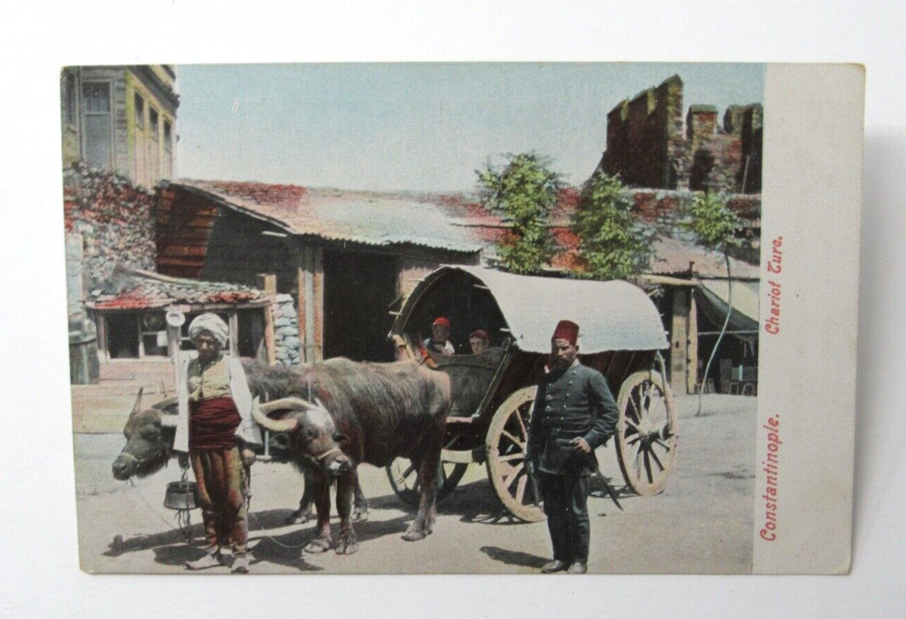 Constantinople Turkish Cart Postcard Armenian Genocide c1910 Antique