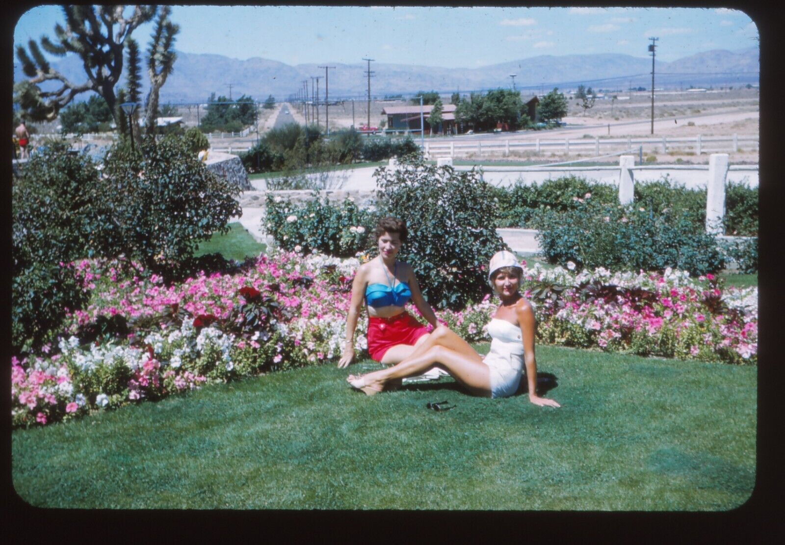 Vintage 35mm Slide 1959 California Pretty Ladies Posing