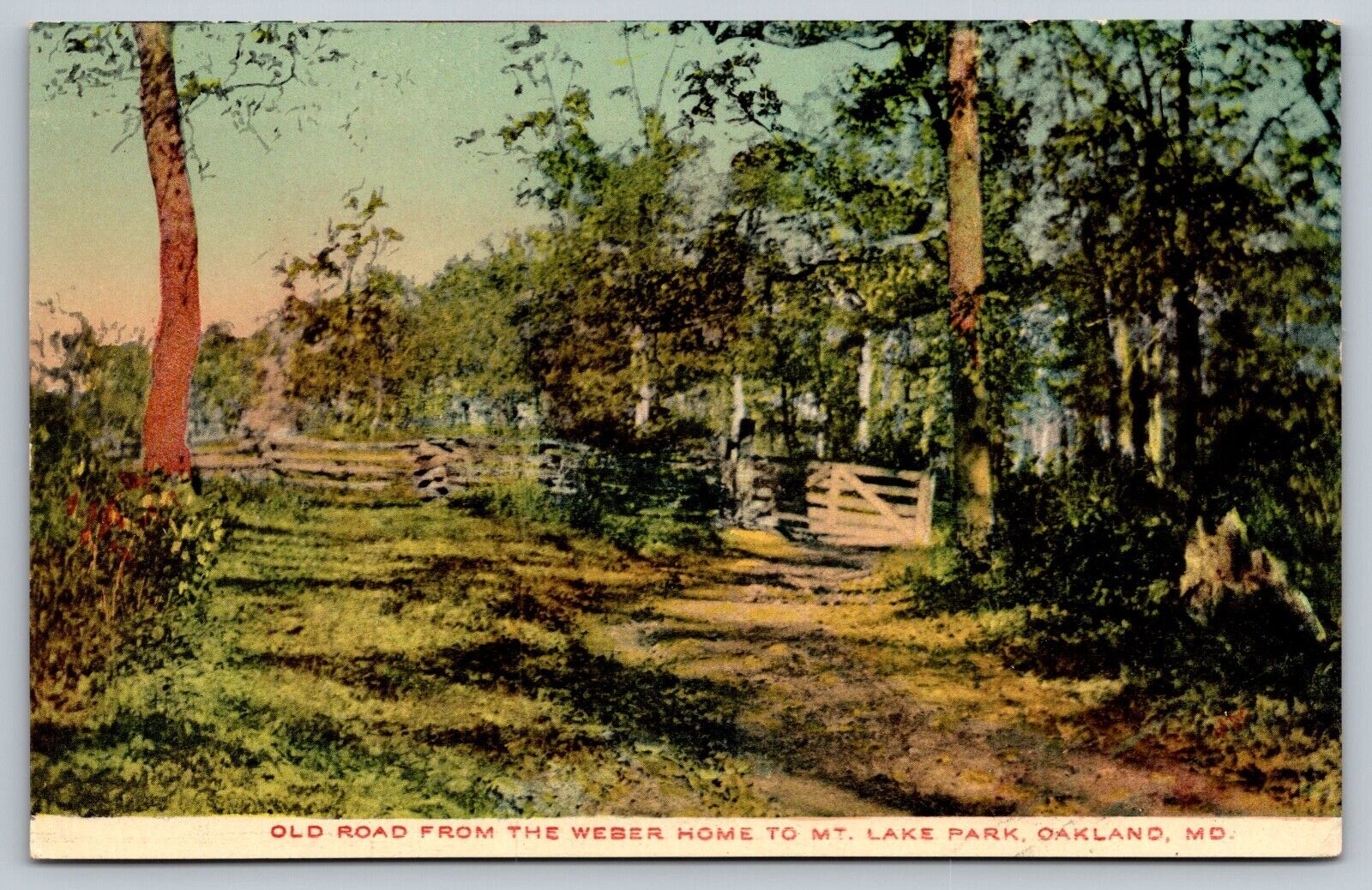 Early 1900s Old Road from Weber Home to Mt. Lake Park, Oakland, MD Postcard
