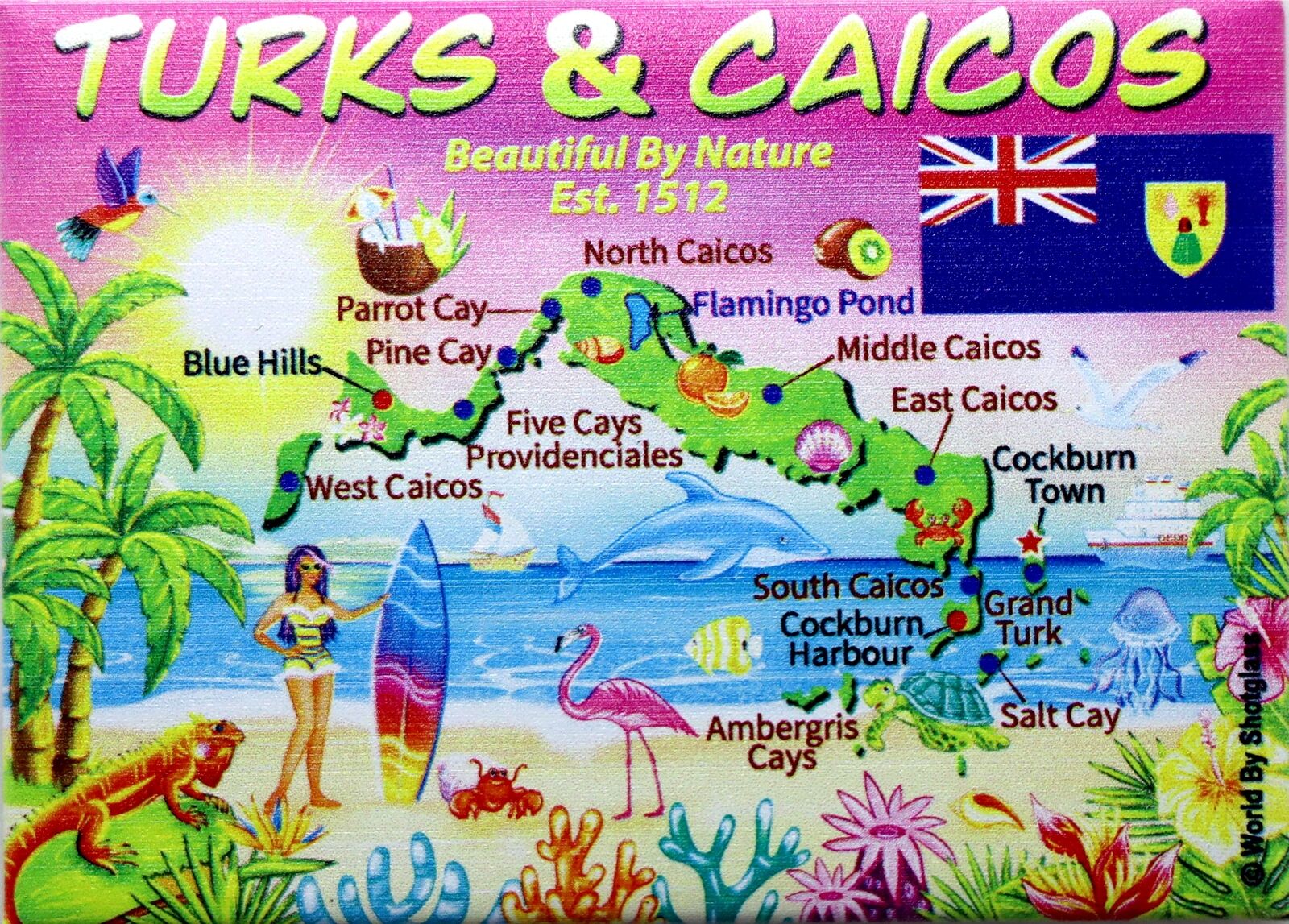 TURKS & CAICOS MAP CARIBBEAN FRIDGE COLLECTOR\'S SOUVENIR MAGNET 2.5\
