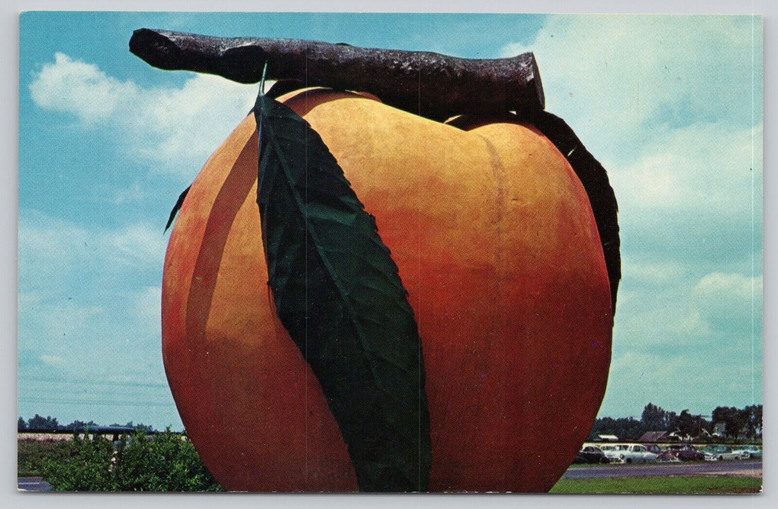 Postcard Half Grown Georgia Peach Novelty