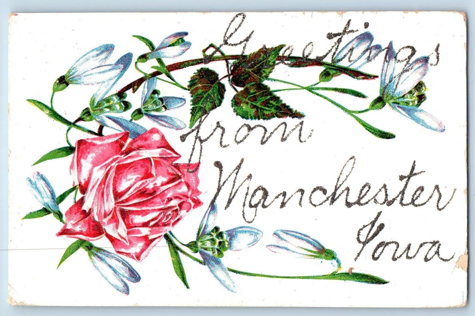 Manchester Iowa IA Postcard Embossed Flower And Leaves Scene c1910\'s Antique