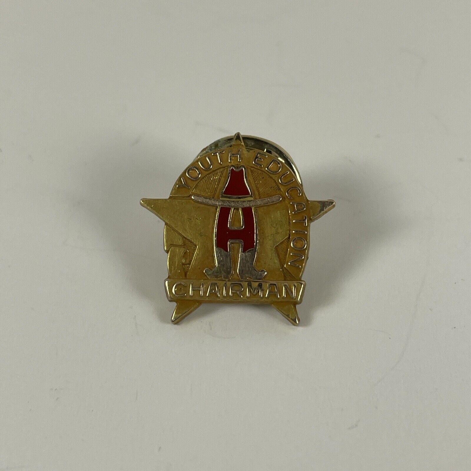 Vintage Houston Livestock Show & Rodeo Pin Youth Education Chairman Gold Filled