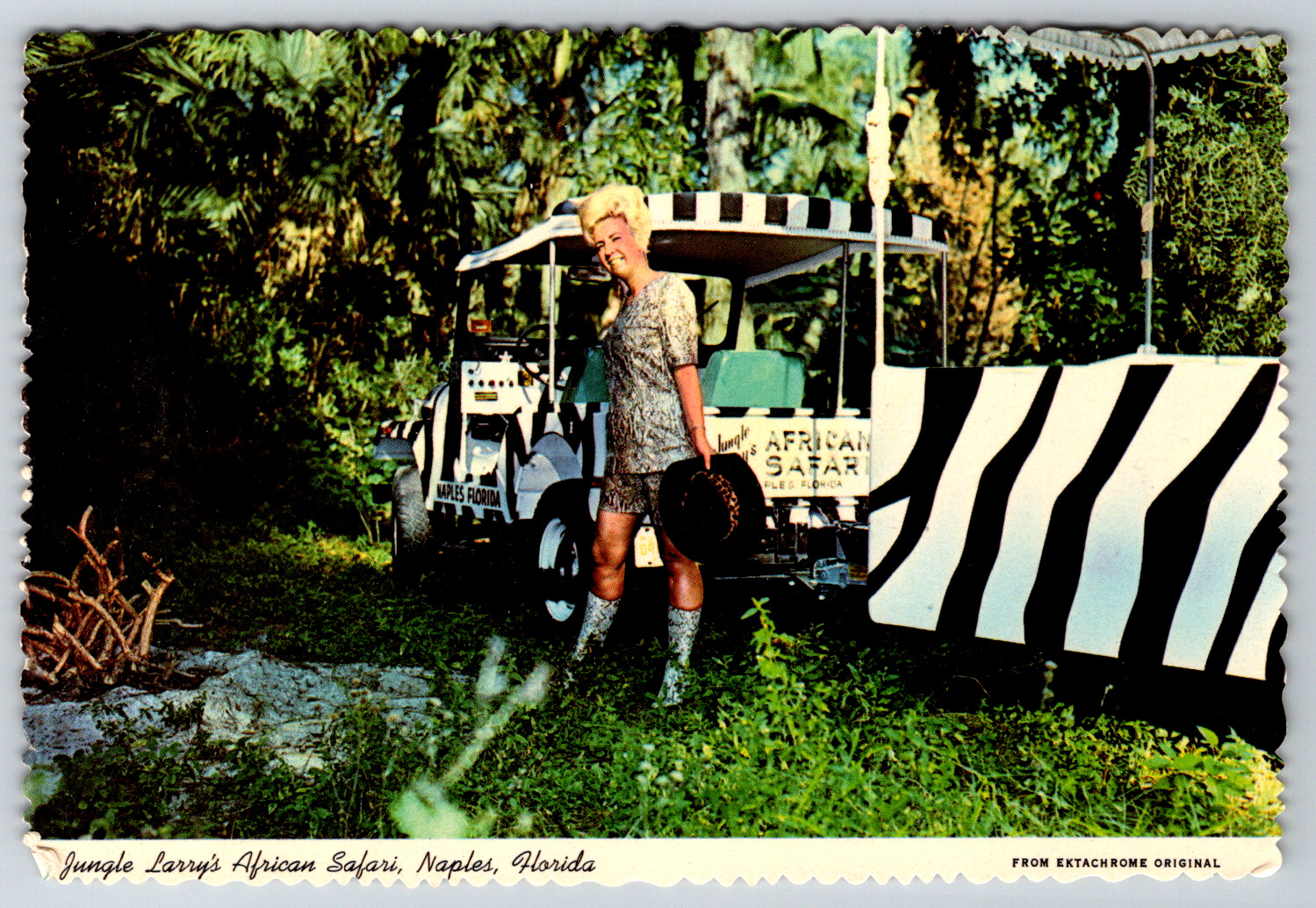 c1980s Jungle Larry\'s African Safari Naples Florida Jane Vintage Postcard