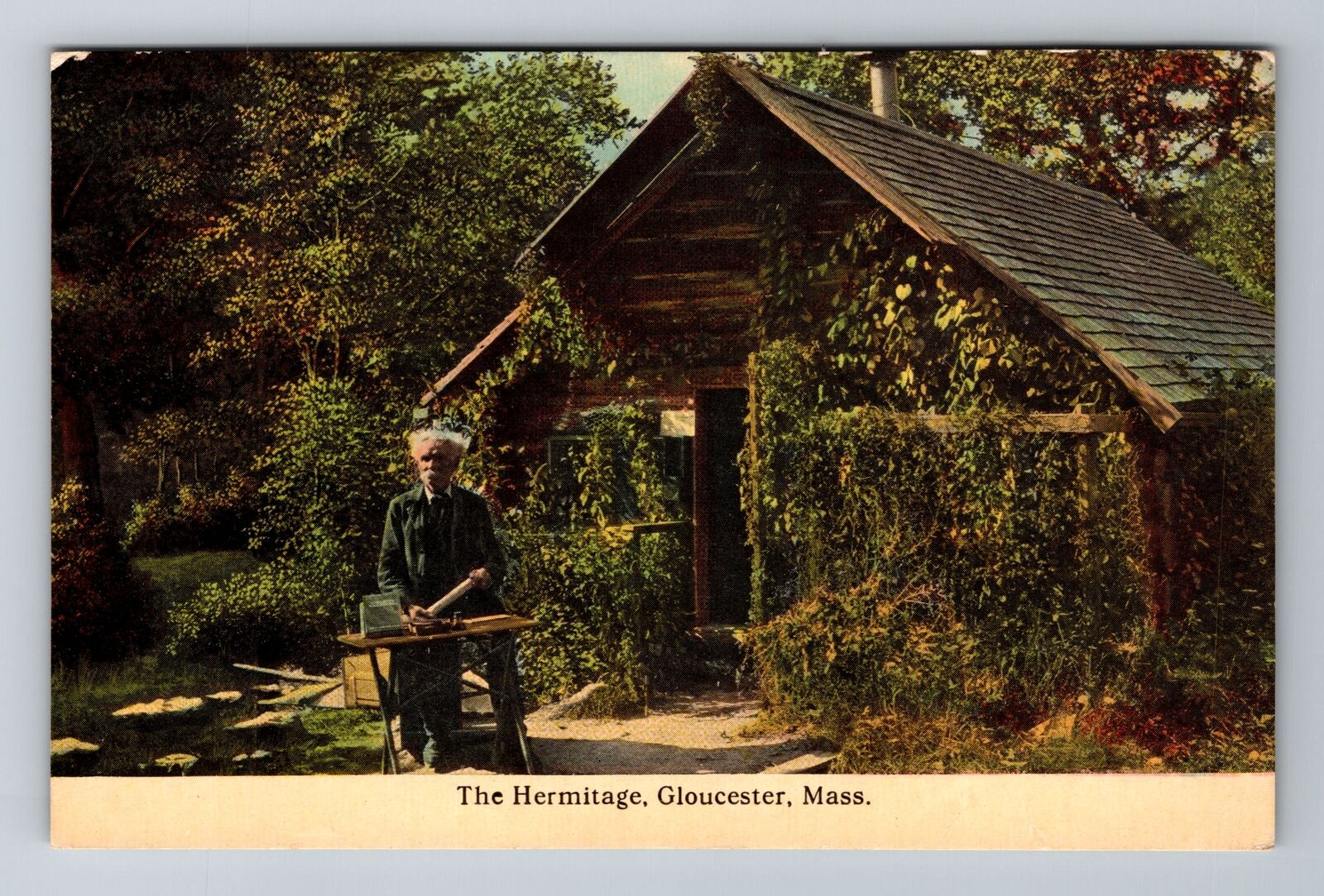 Gloucester, MA-Massachusetts, The Hermitage Old Man, Vintage Souvenir Postcard
