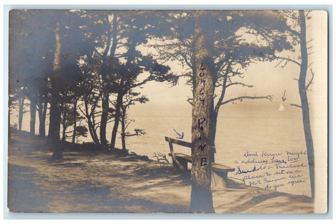 c1905 Forest Lake Sailboat Bench Lonely Pine Tree View RPPC Photo Postcard