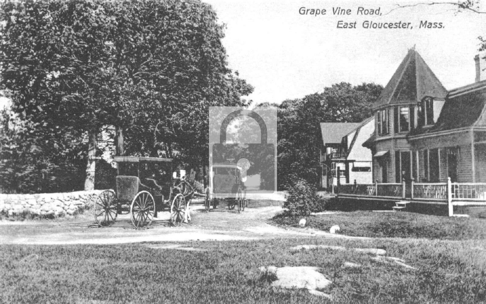 Grape Vine Road East Gloucester Massachusetts MA Reprint Postcard