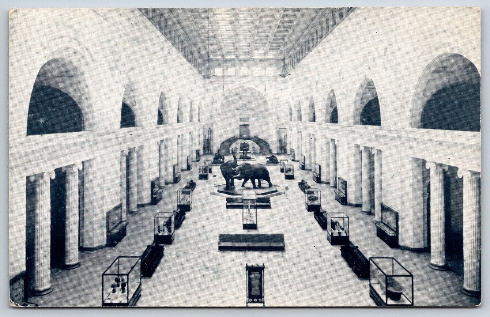 Postcard Chicago Natural History Museum, Stanley Field Hall Illinois Unposted