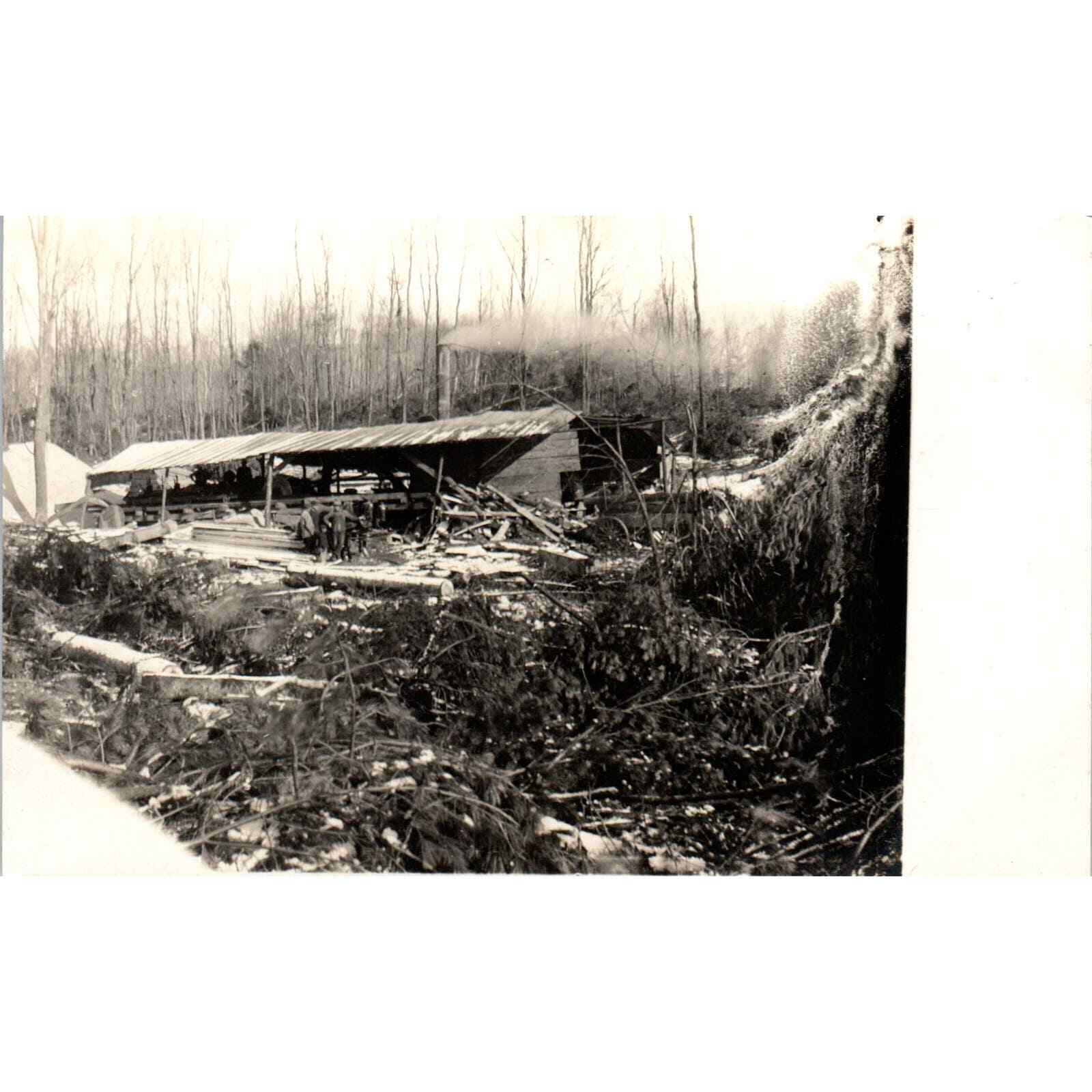 Antique Postcard RPPC Logging Lumberjacks at Lumber Mill c1910 SE8
