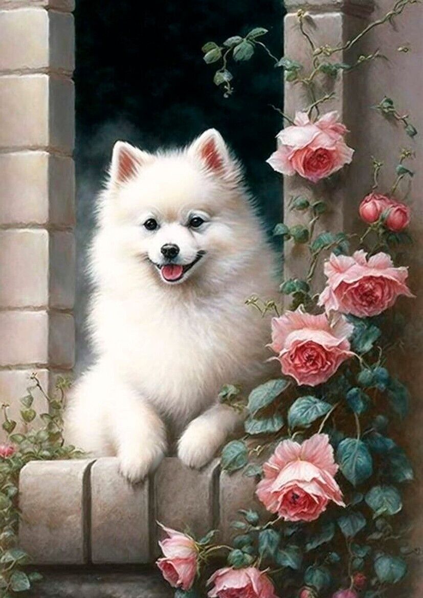POMERANIAN SPITZ PUPPY DOG GREETINGS NOTE CARD LOVELY WHITE DOG WITH FLOWERS