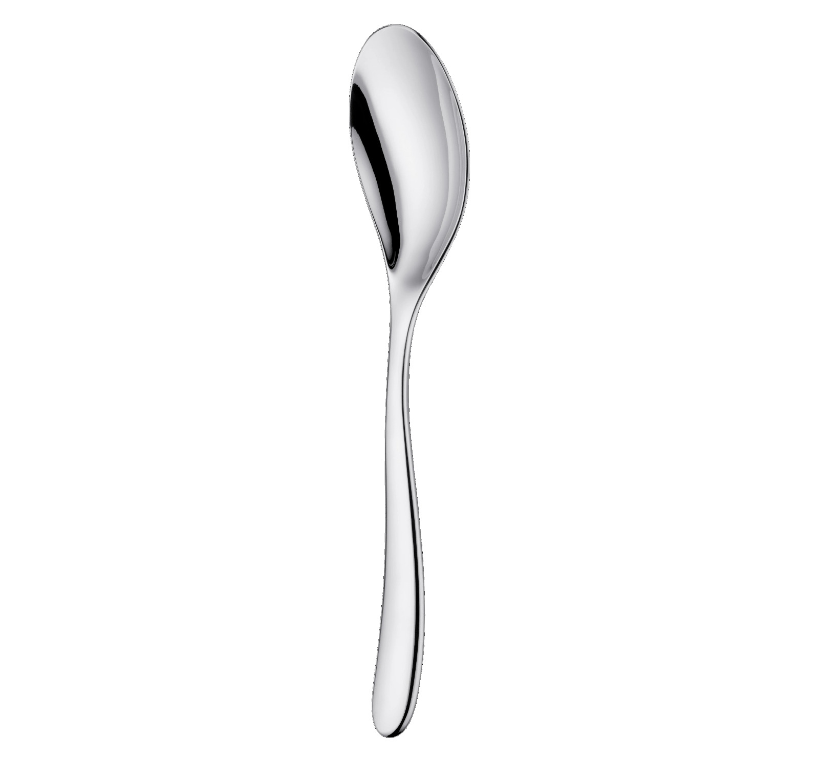 NEW CHRISTOFLE L'AME STAINLESS STEEL SERVING SPOON #2427006 BRAND NIB SAVE$ F/SH