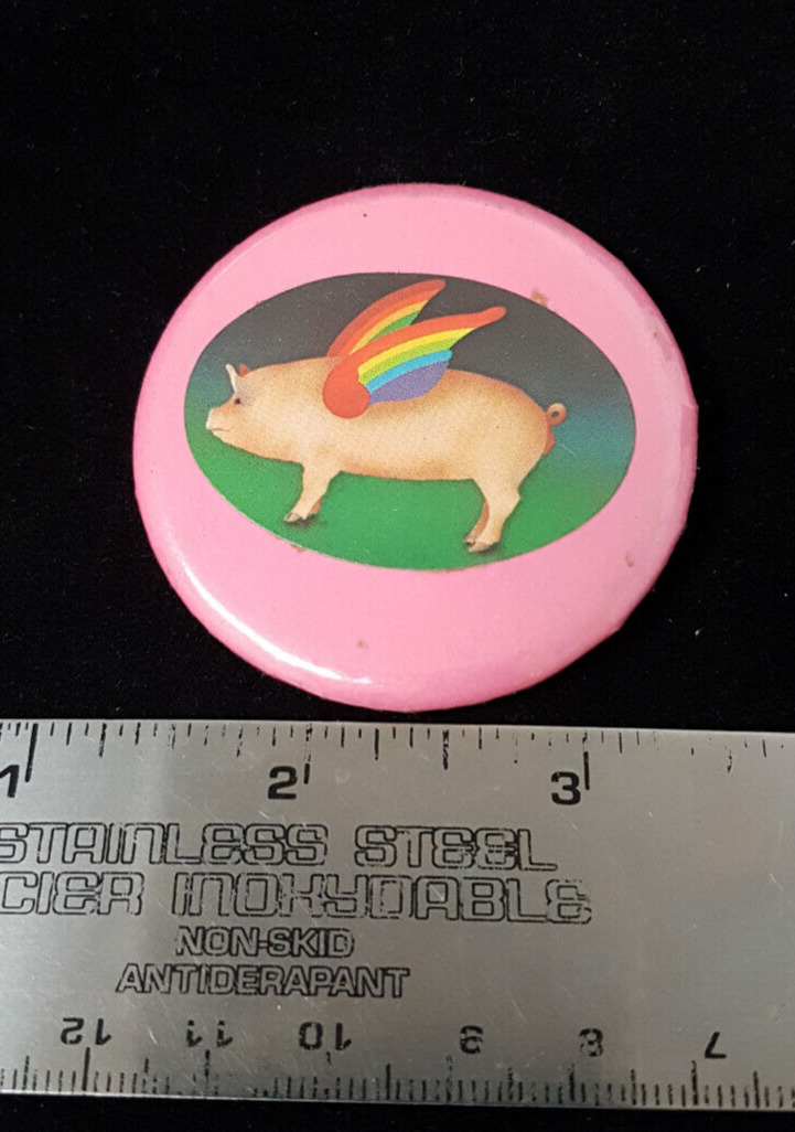 Vintage Circa 1980. Rainbow Winged Pigasus Pin. excellent Condition.