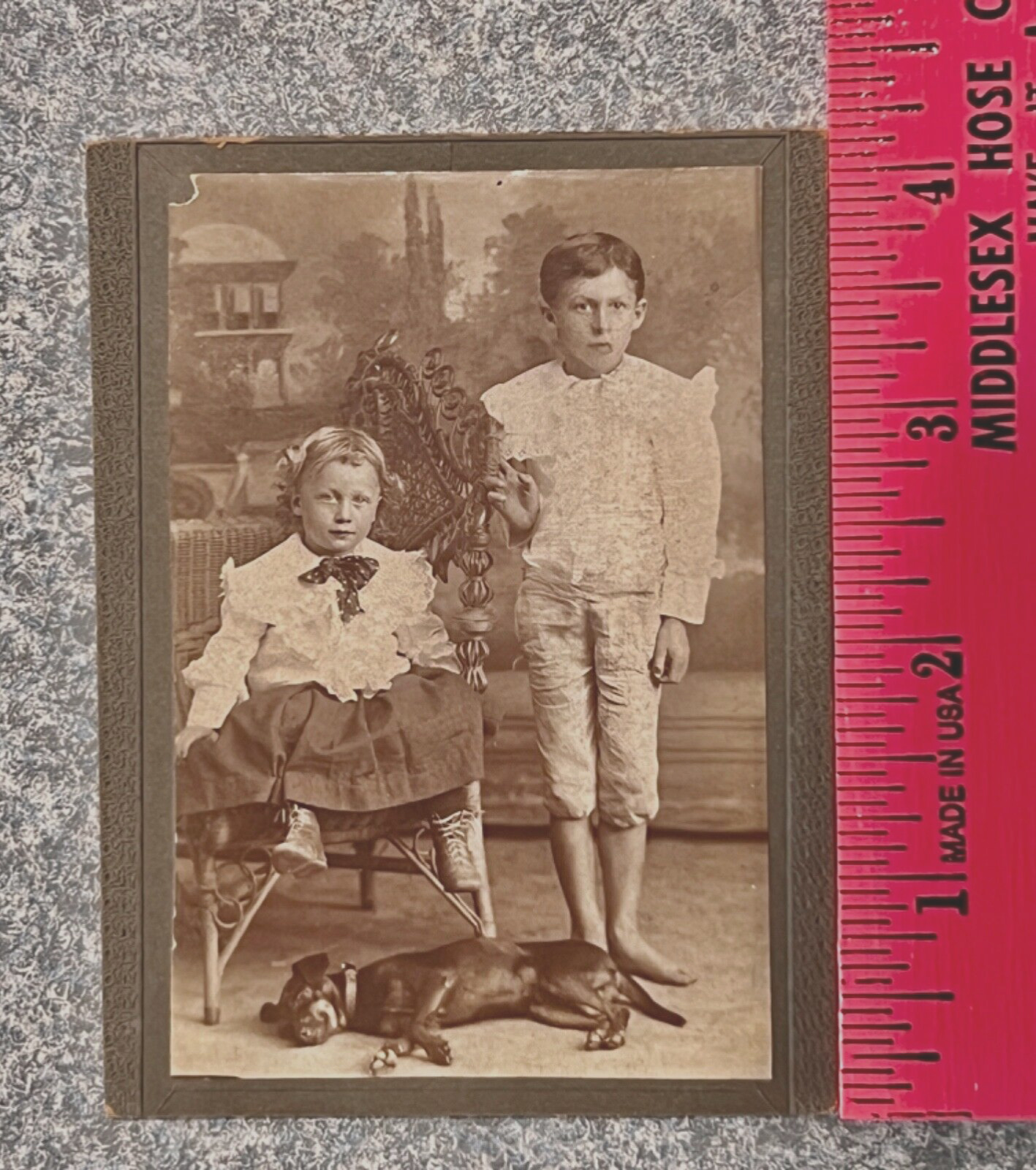 Antique Photo Fancy Clothes Barefoot Boy,Toddler, Dog Italy? Sepia 4x3” Mounted