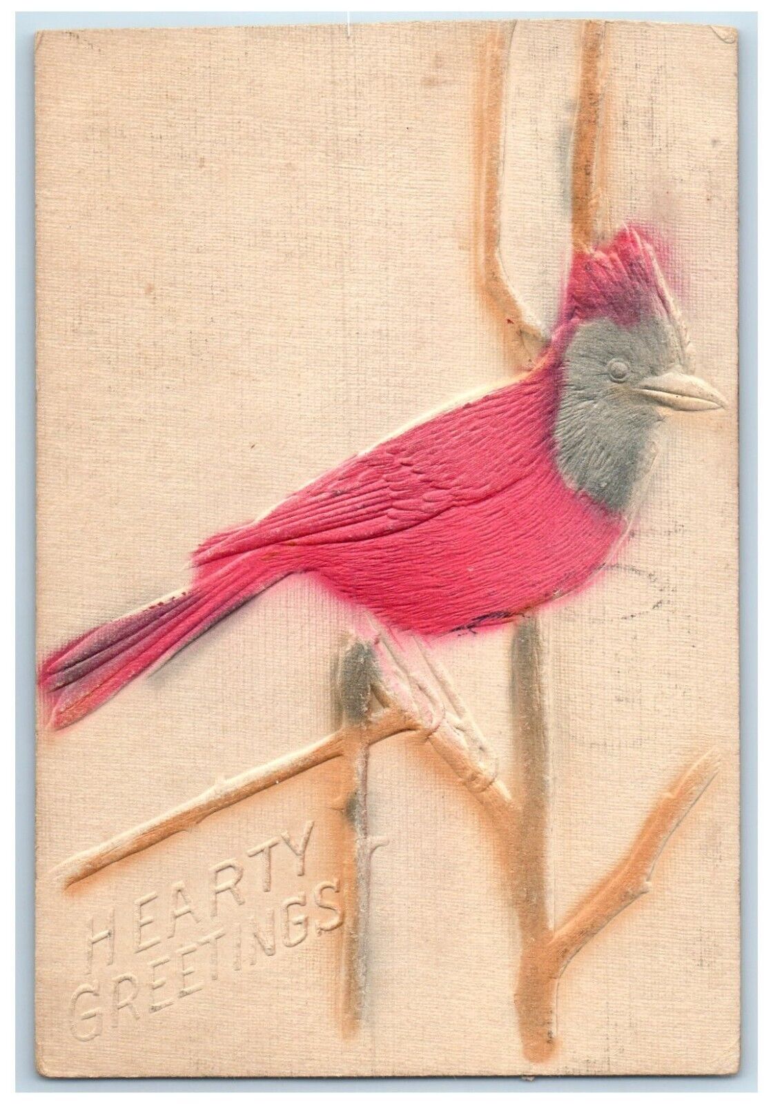 1907 Hearty Greetings Bird Airbrushed Embossed Quincy Illinois IL Postcard