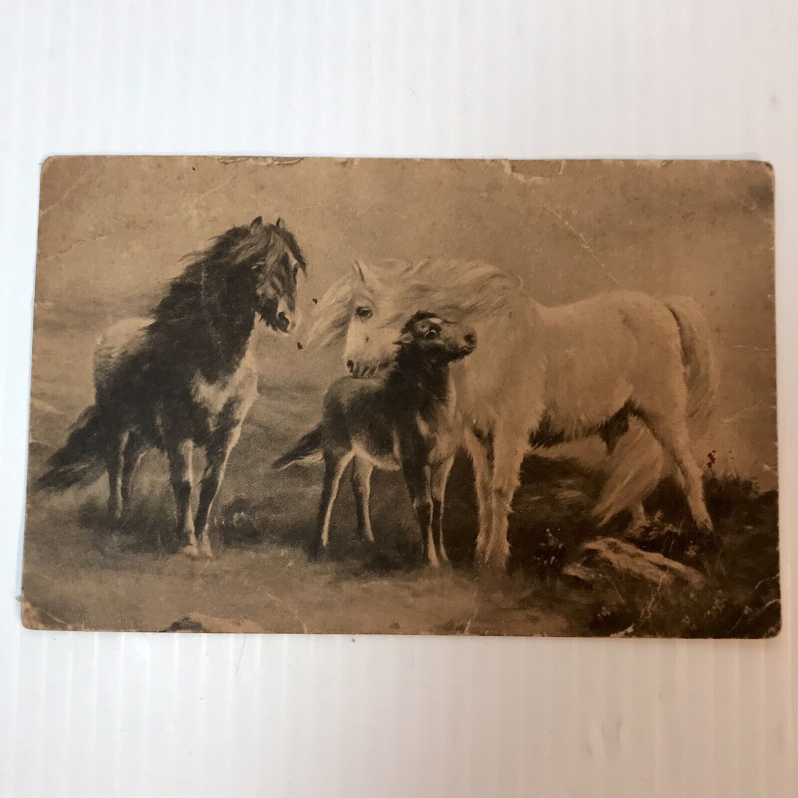 Antique C.W. Faulkner CWF Series 1660 Postcard Shetland Ponies Divided Back