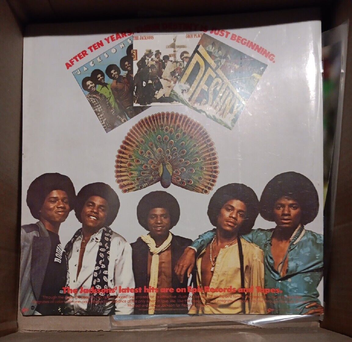 1970°s Jackson 5 Vintage Band Program