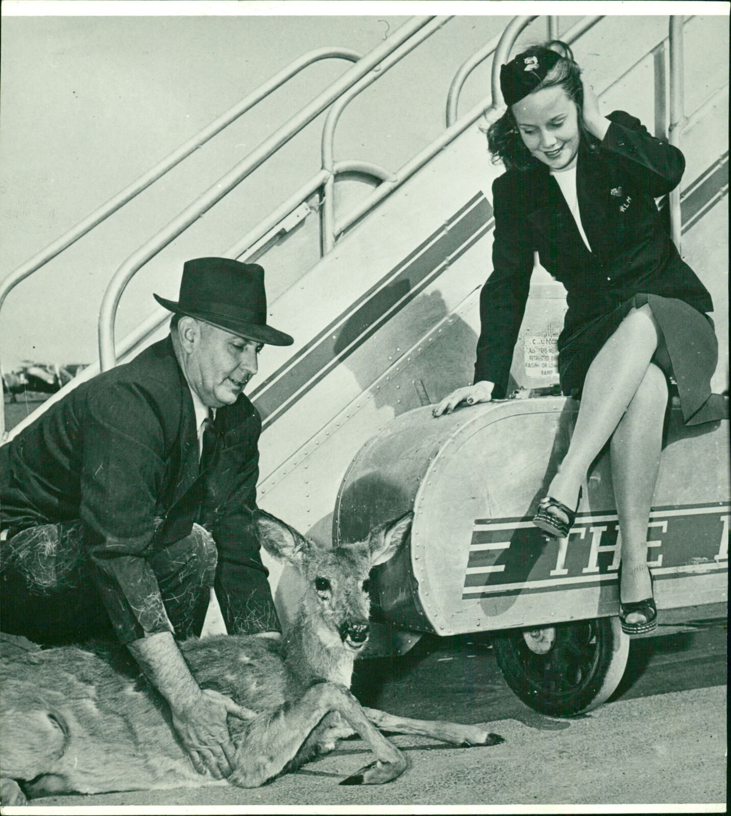 Air hostess KLM - Vintage Photograph 2442801