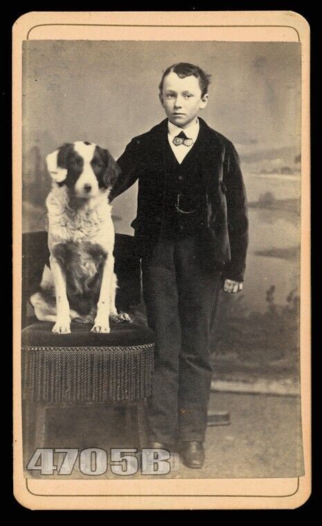 Great 1870s CDV Photo New Haven Connecticut Boy Proudly Posing with Dog