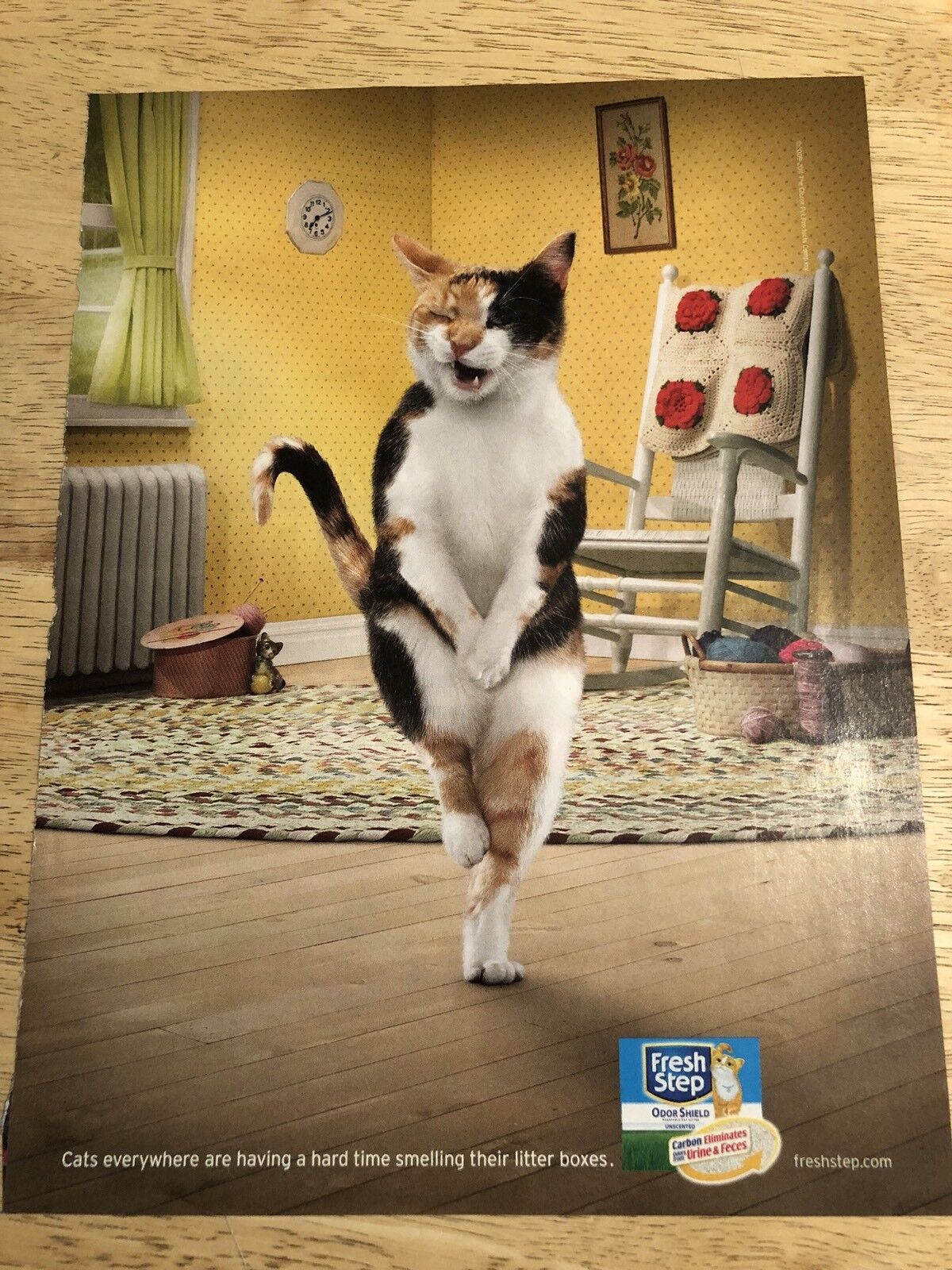 FRESH STEP - Funny Cat - Magazine Full Page Print Ad