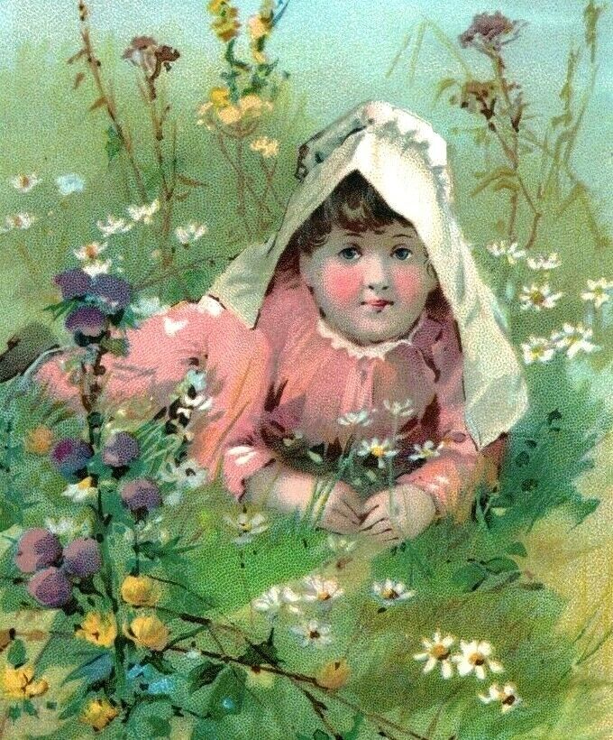 1890s McLaughlin\'s XXXX Coffee Adorable Girl In Field Of Flowers #5K