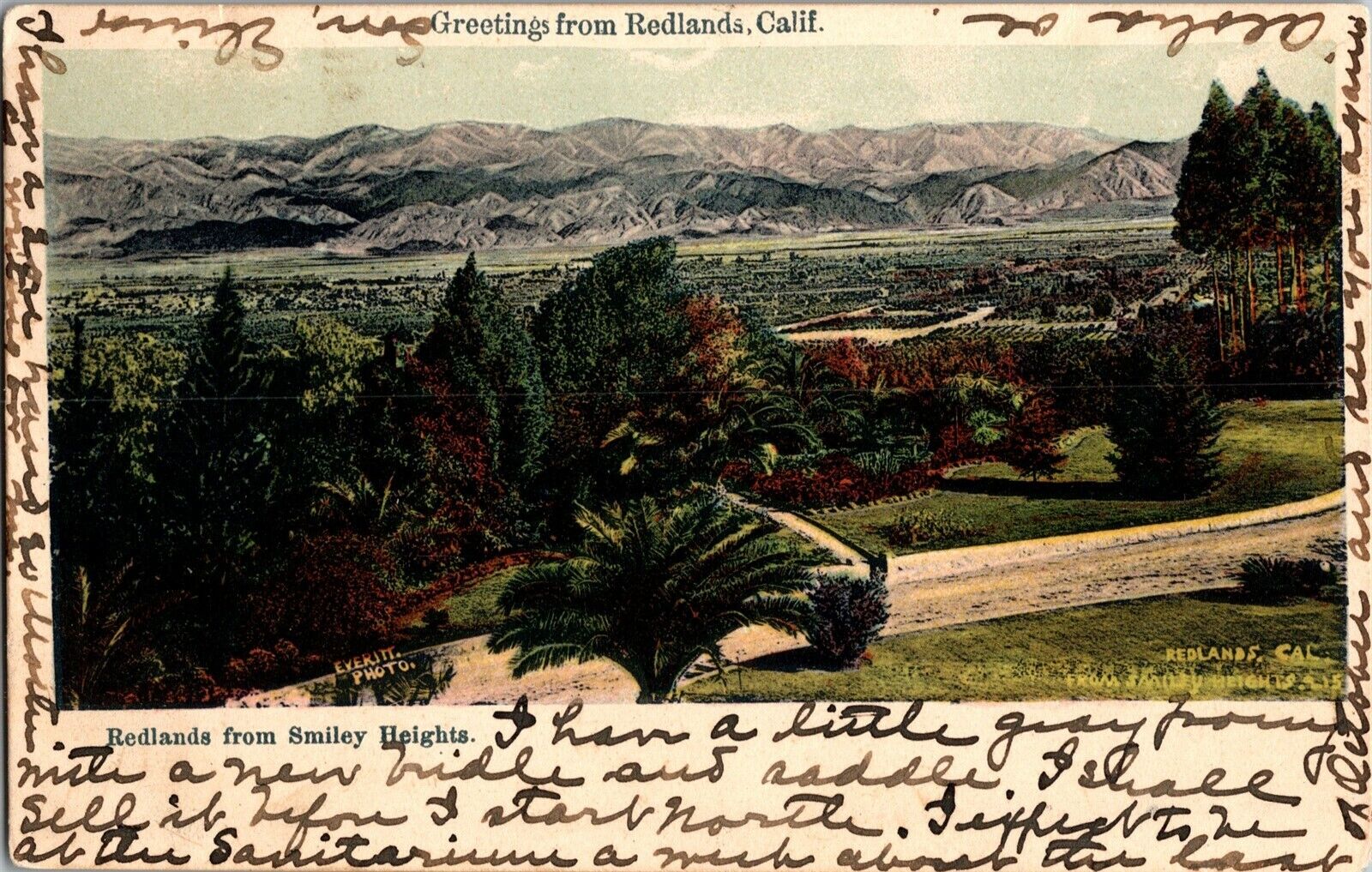 Greetings from Redlands CA, Redlands from Smiley Heights c1905 Vtg Postcard F80