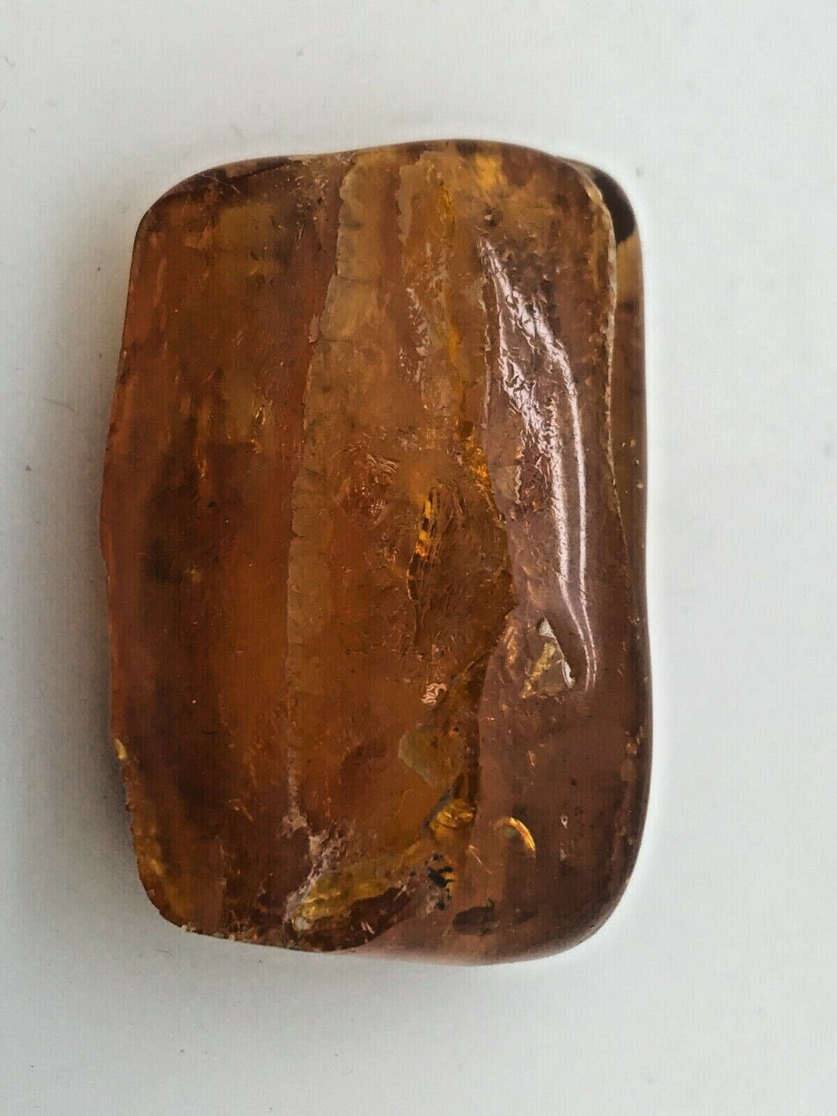 Ancient Baltic Amber - 50/60 MYO  -TWO Unidentified Insects Inside - 01177