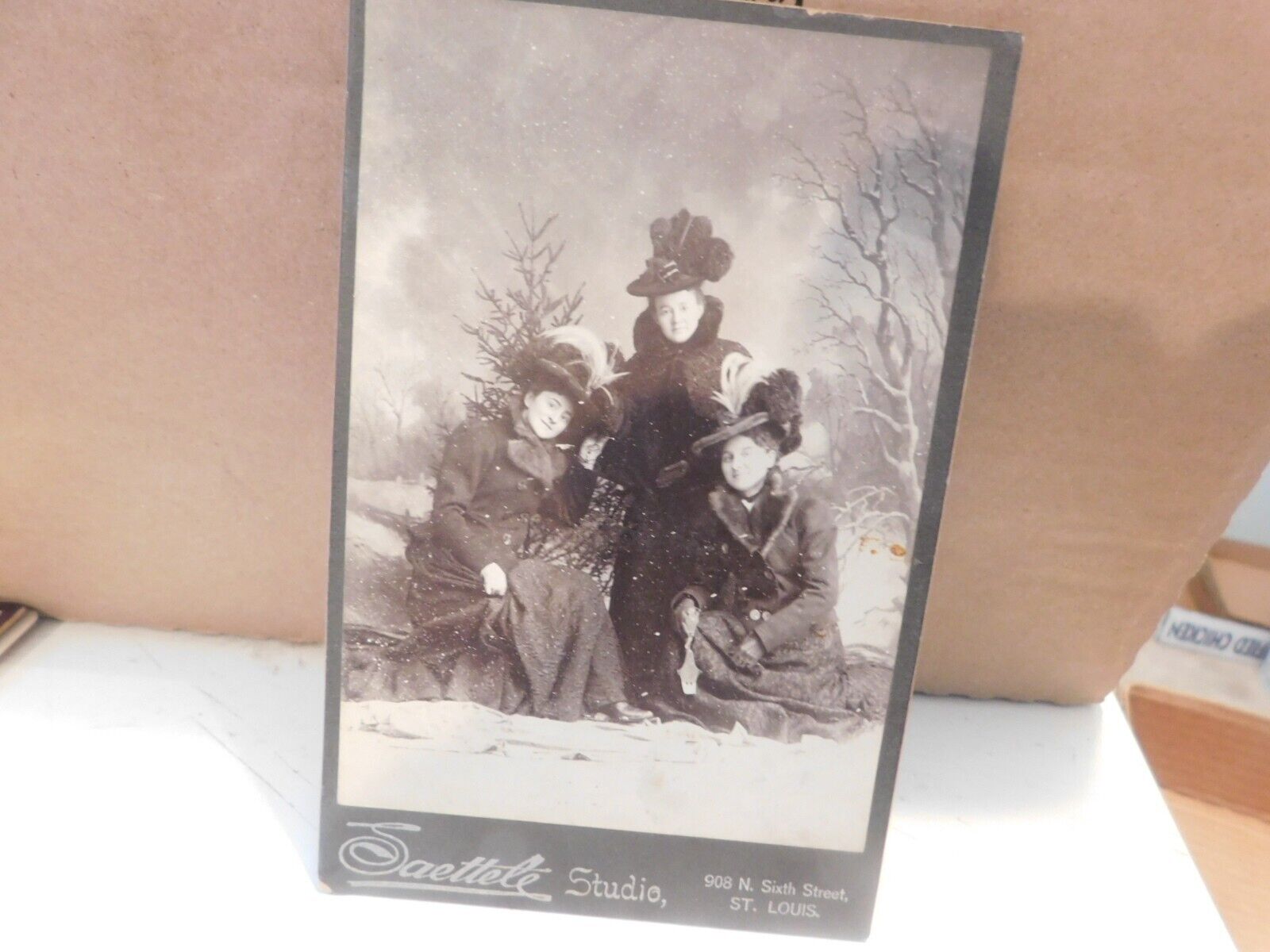 Antique Photo of  3 Woman with Large Feather Hats & one with purse
