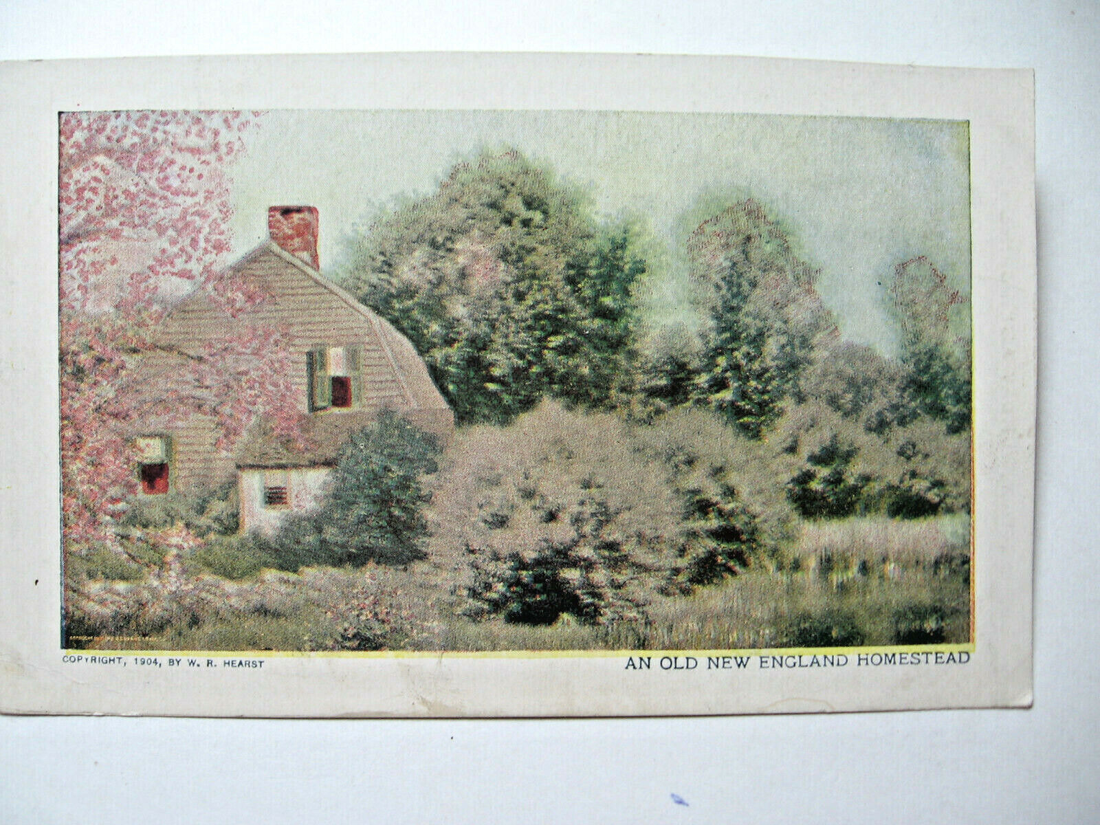 1904 Old Homestead Postcard. Copyright W.R. Hearst. Congress Authorization 1898