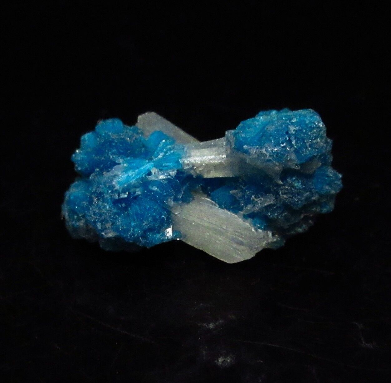 Dark blue Cavansite with stilbite (non-precious natural mineral) #2317