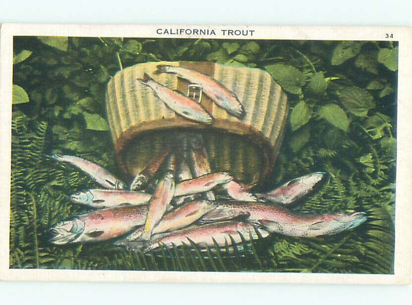 Pre-chrome CALIFORNIA TROUT FISHING Published In Stockton California CA AF5716