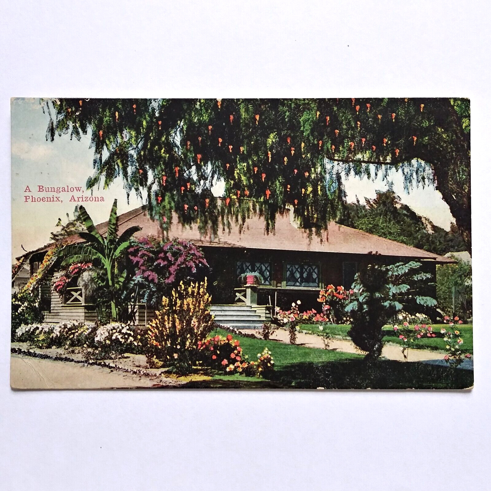 Bungalow Phoenix AZ Arizona Postcard Tropical