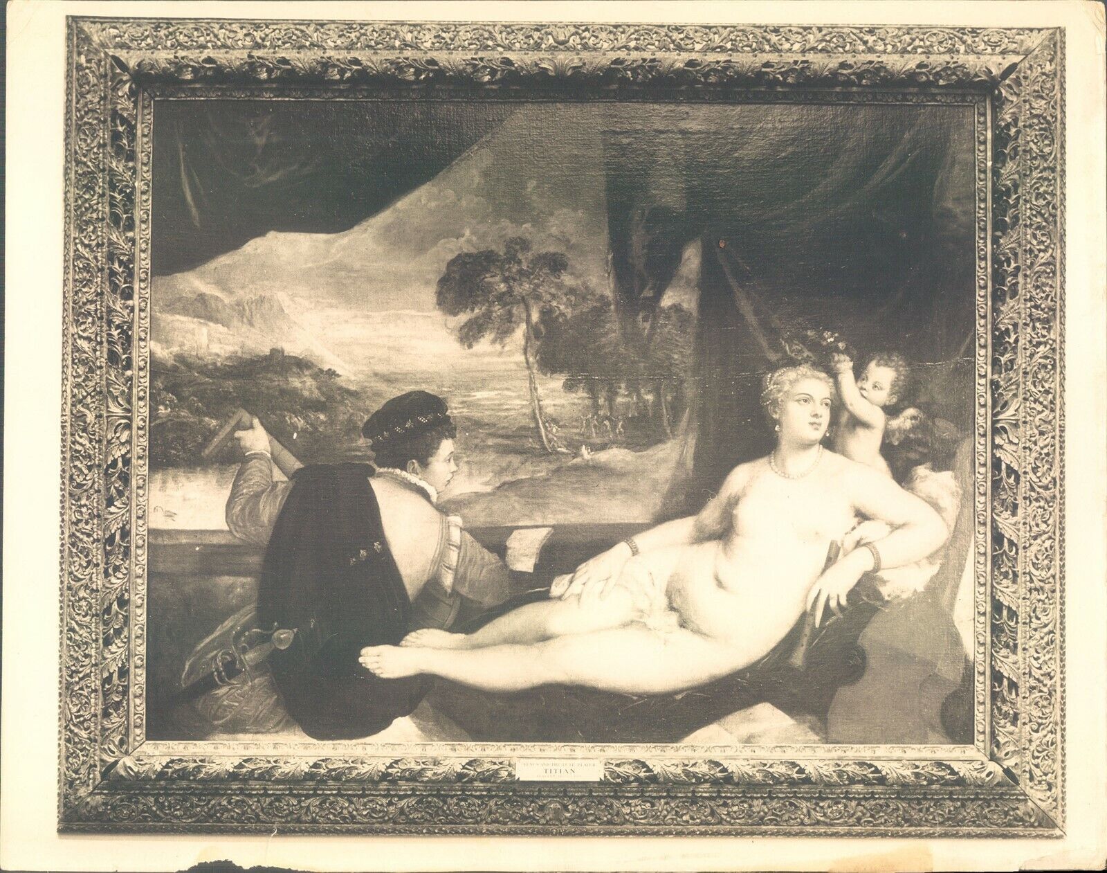 GA85 Original Underwood Photo VENUS AND THE LUTE PLAYER Titian Painting Art