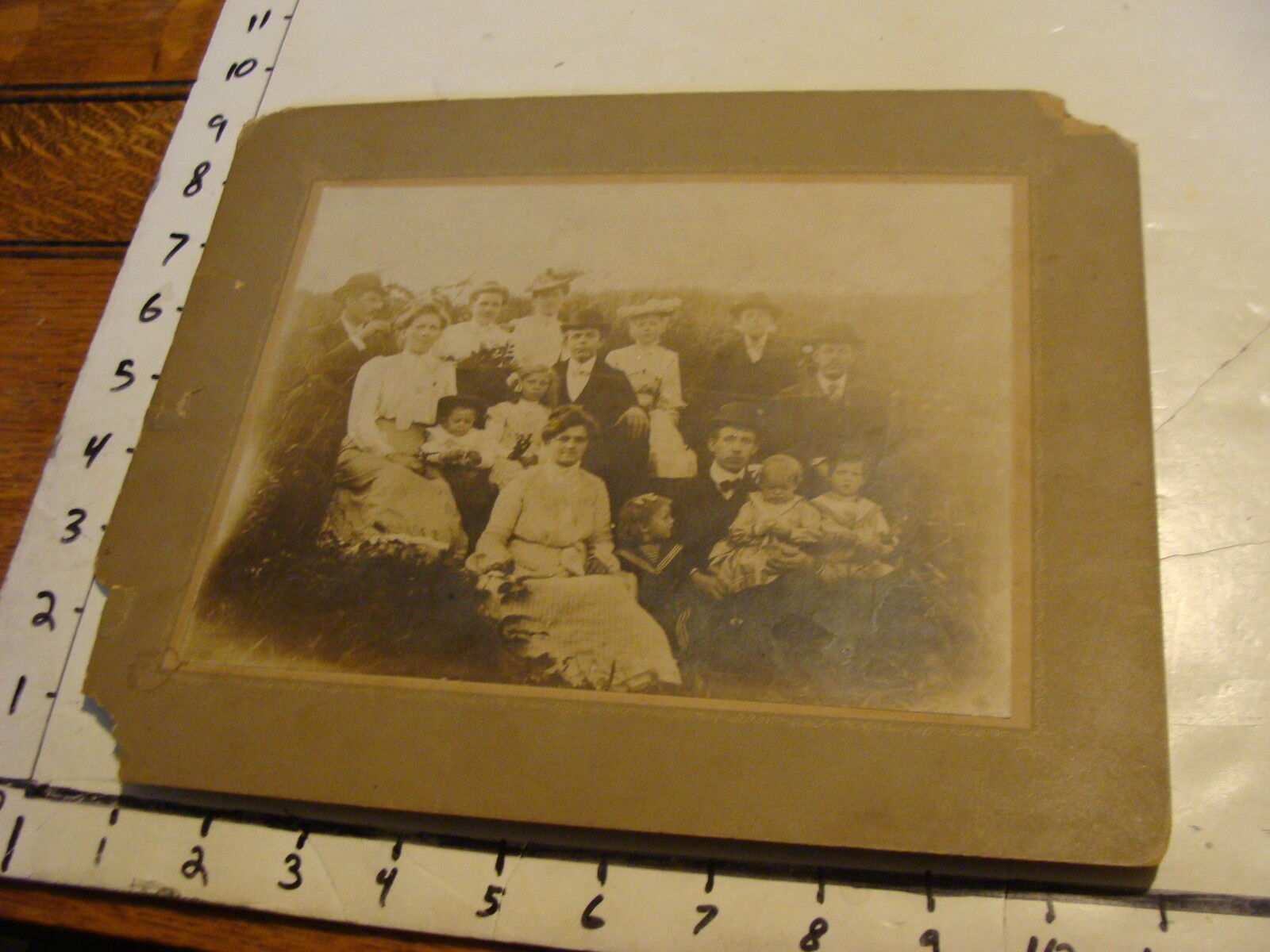 vintage mounted photo: Large family in field, circa later 1800's