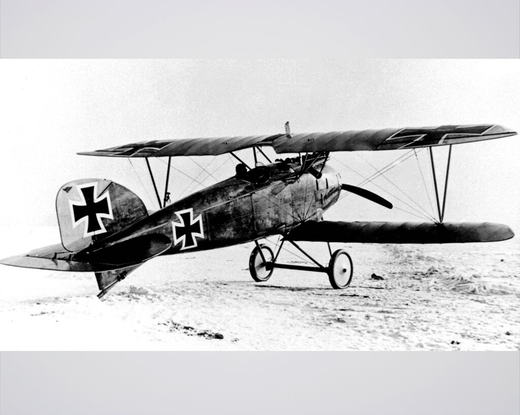 New 11x14 World War I Photo: Albatros D.III of Red Baron Manfred von Richthofen