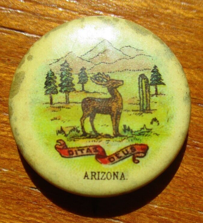 State Seal  of Arizona Button Pinback Whitehead + Hoag 1894-1896. Vintage