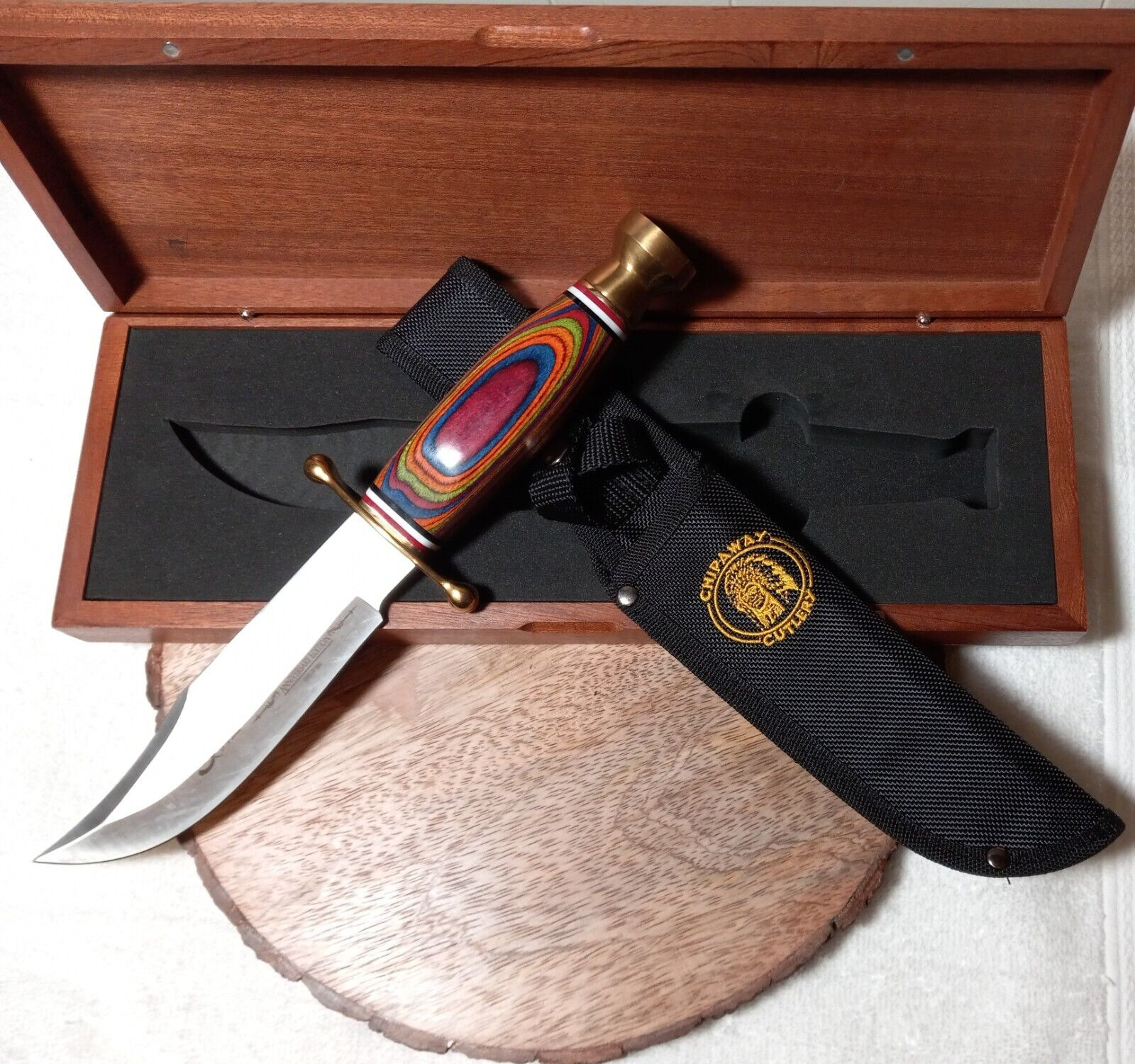NEW Chipaway Texas Bowie CW-645 NS 50th Anniversary Knife 12\