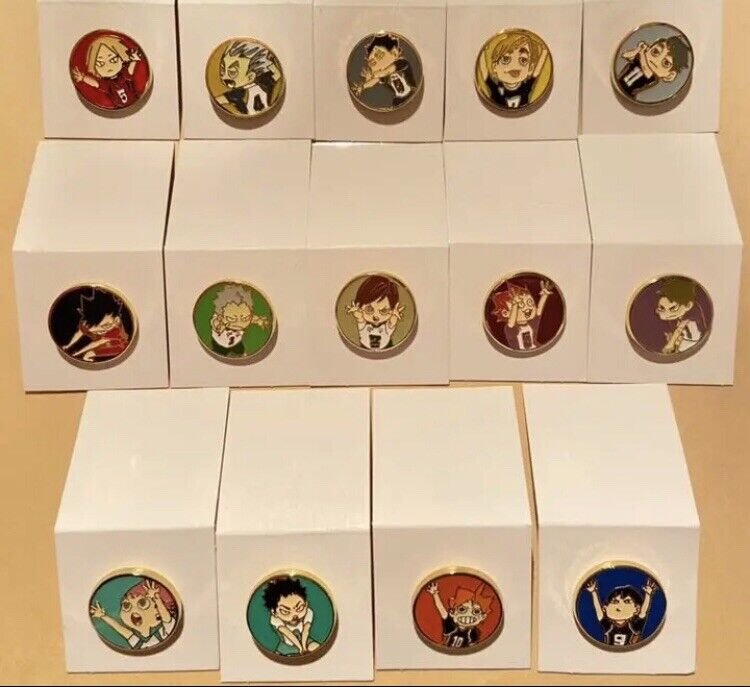 Haikyuu Exhibition Pin Badge Pins Full Competed Set of 14 1inch Jump Shop Japan
