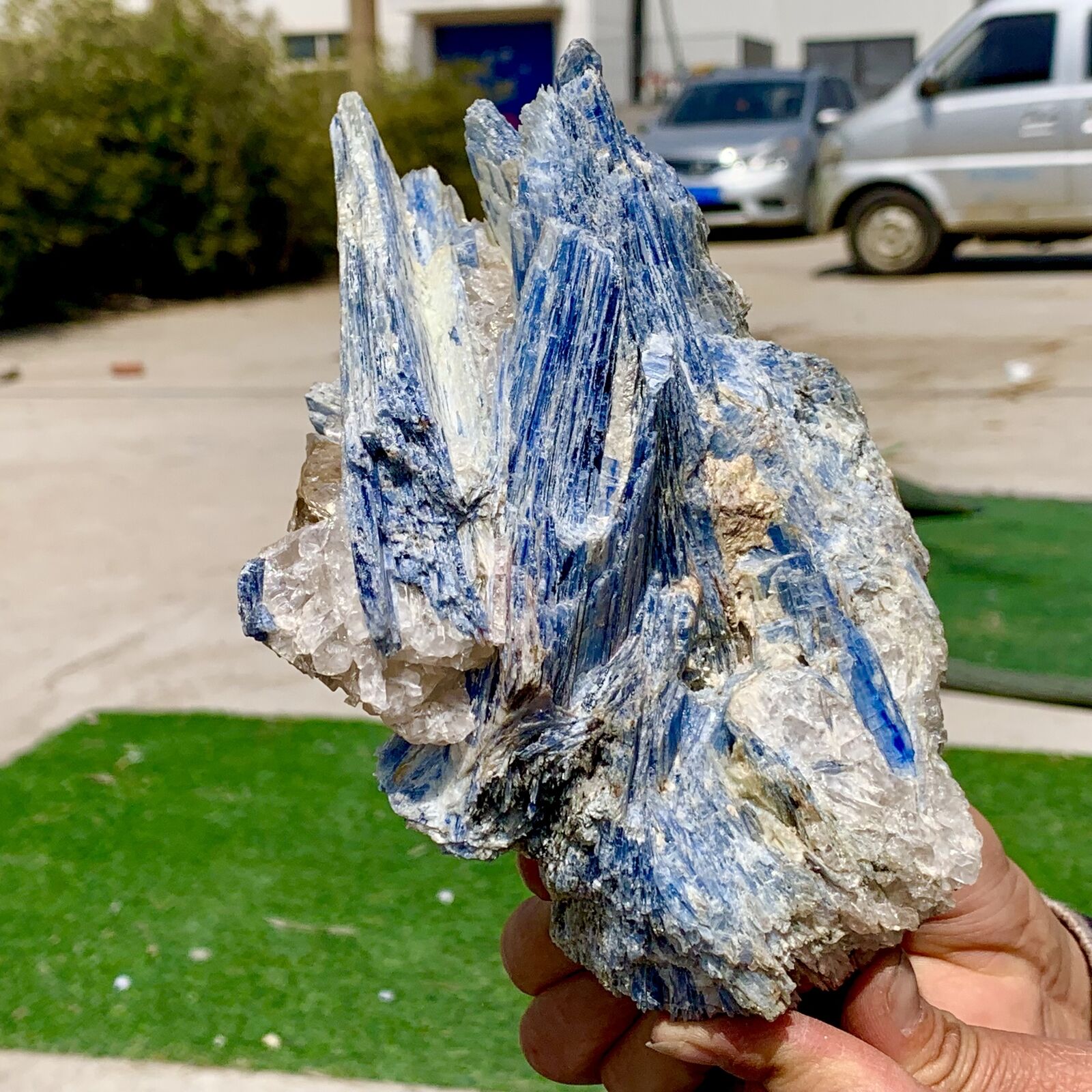 3.06LB Rare Natural beautiful Blue KYANITE with Quartz Crystal Specimen Rough