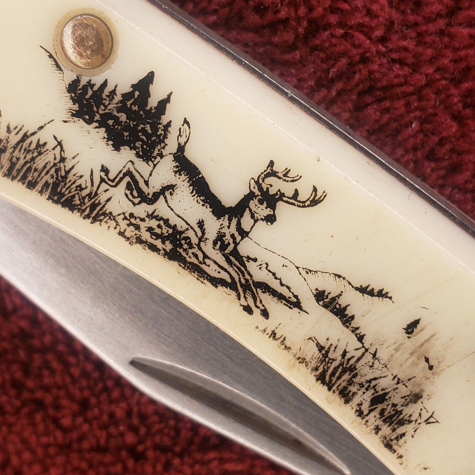Vintage US Colonial Ranger Scrimshaw Lockback Folding Deer Knife Providence RI